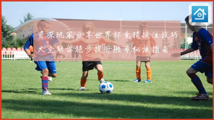 资深玩家分享世界杯竞猜投注技巧大全助你稳步提升胜率秘诀指南
